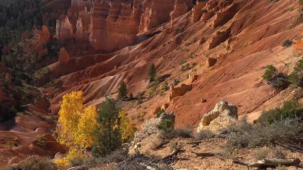 Parque Nacional Bryce Canyon Navajo Loop Trail Utah Eua — Fotografia de Stock