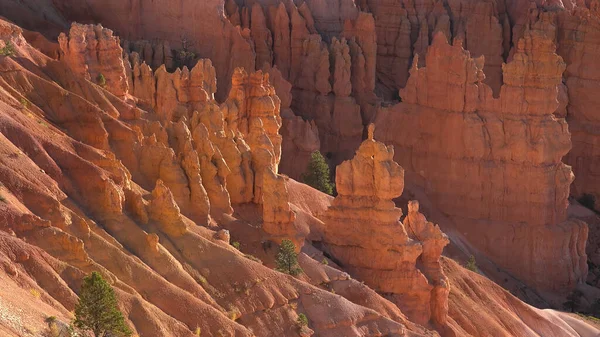 Parque Nacional Bryce Canyon Navajo Loop Trail Utah Eua — Fotografia de Stock