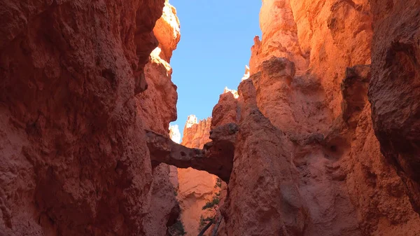 Parco Nazionale Del Bryce Canyon Navajo Loop Trail Utah Usa — Foto Stock