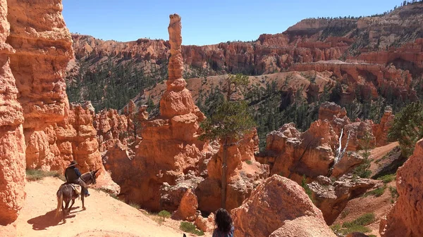 Parque Nacional Bryce Canyon Navajo Loop Trail Utah Eua — Fotografia de Stock