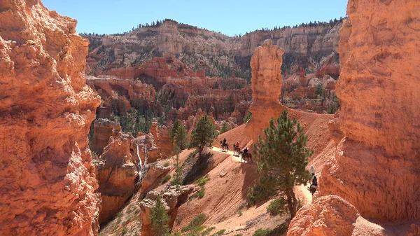 Parque Nacional Bryce Canyon Navajo Loop Trail Utah —  Fotos de Stock