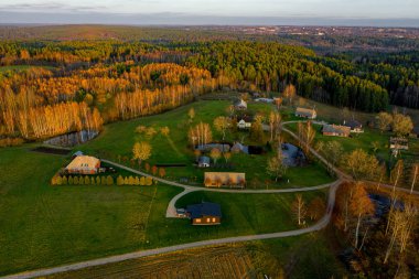 Sonbahar zamanı şehir parkında hava manzarası, sonbahar mevsiminde renkli ağaç yaprakları 