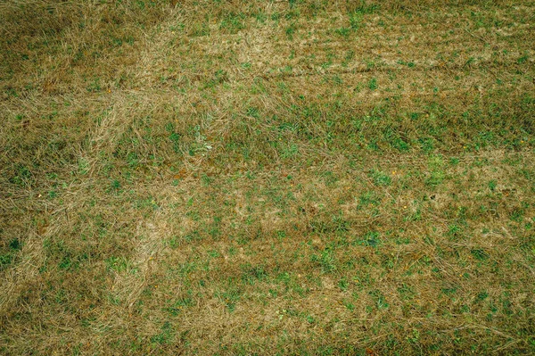 Field Captured Drone Aerial View Rural Field — Stock Photo, Image
