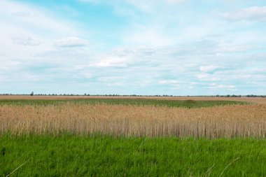Alan ve bulutlu gökyüzü arkaplanını görüntüle