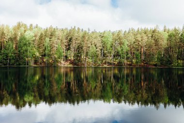 Yeşil ağaçlı güzel Orman Gölü