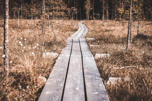 Path Wooden Boards Countryside Road — ストック写真