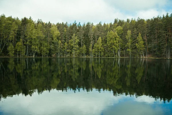 Beautiful Forest Lake Green Trees — Stock Photo, Image