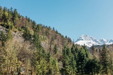 Dünyanın en uzun ip köprüsü olan Reutte 'deki 179 no' lu Hanging Bridge Highline 'dan (406 metre uzunluğunda ve 114 metre yüksekliğinde) dağ arka planına sahip olan Reutte, Avusturya