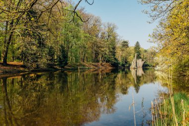 Gölü ve doğası olan güzel bir orman