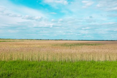 Bulutlu gökyüzü arkaplanındaki alanı göster
