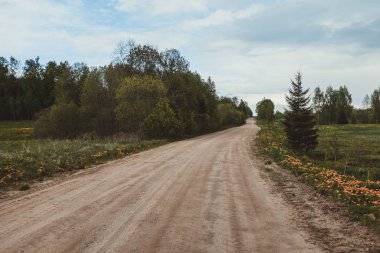 Yaz Gezisi. Güzel orman manzarası ve yol