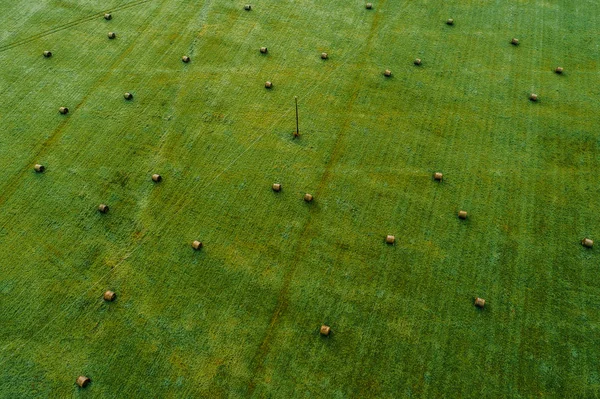 Aerial View Green Field Bale Rolls — Stock Photo, Image