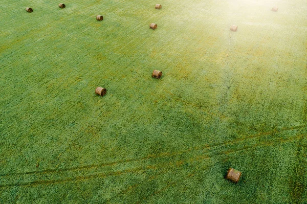 Aerial View Green Field Bale Rolls — Stock Photo, Image