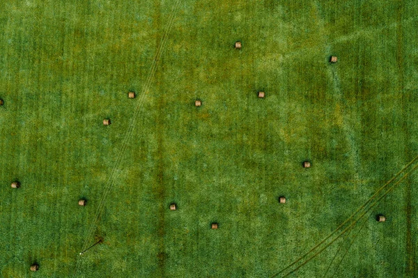 Aerial View Green Field Bale Rolls — Stock Photo, Image