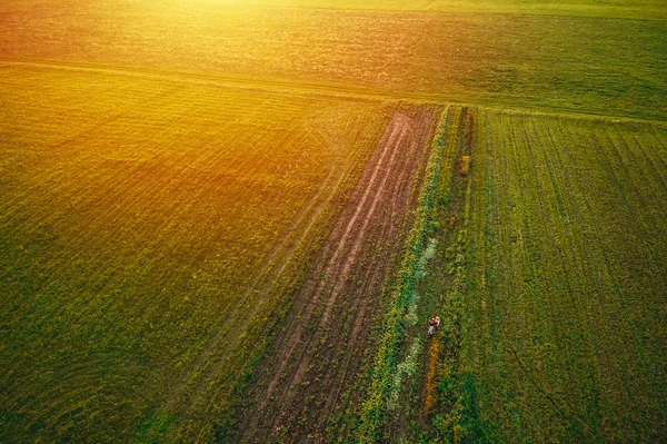 Campo Cima Capturado Com Drone Vista Aérea Sobre Campo Rural — Fotografia de Stock