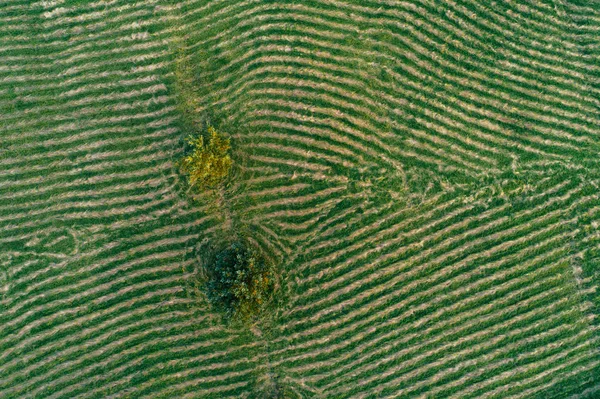 Campo Cima Capturado Com Drone Vista Aérea Sobre Campo Rural — Fotografia de Stock