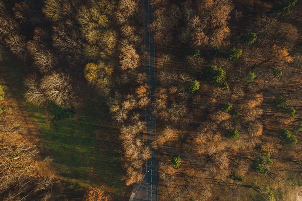 Vista Aérea Sobre Pequeño Camino Forestal Asfaltado Coches Conduciendo Otoño —  Fotos de Stock