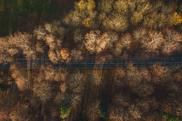 Vista Aérea Estrada Pequena Floresta Asfaltada Carros Que Dirigem Hora — Fotografia de Stock