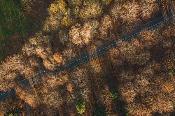 Вид с воздуха на небольшую асфальтированную лесную дорогу, вождение автомобилей осенью
. 