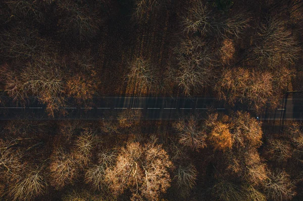 秋天开着车的小径上的空中风景 — 图库照片