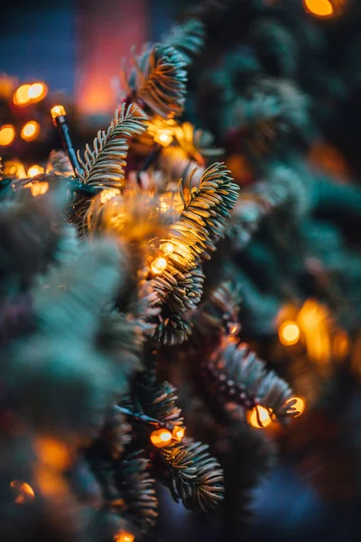 Noel ağacı ışıkları ve süslemeleri yakın plan, tatil sezonu geçmişi.