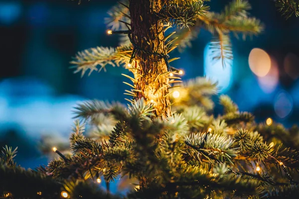 Close Vista Sobre Luzes Árvore Natal Decorações Fundo Temporada Férias — Fotografia de Stock