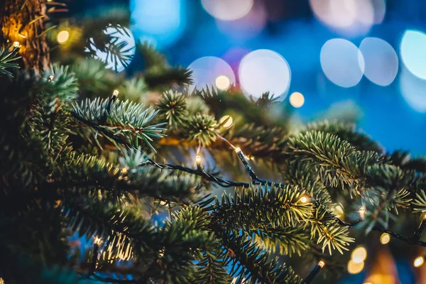 Közelről Kilátás Karácsonyfa Fények Dekorációk Ünnepi Szezon Háttér — Stock Fotó