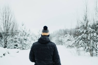 Çam ormanlarında kış mevsiminde yürüyen bir adam