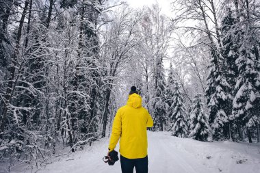 Erkek fotoğrafçı kış mevsiminde Çam ormanında yürüyor