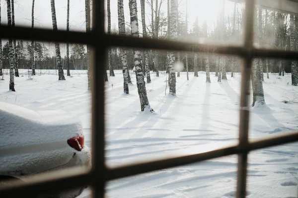 Pohled Okna Zimní Les — Stock fotografie