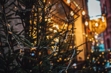 Parlayan ışıkları olan Noel ağacı, tatilde şehir 
