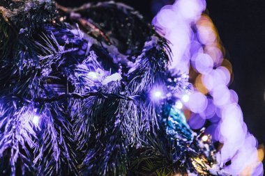 Parlayan ışıkları olan Noel ağacı, tatilde şehir 