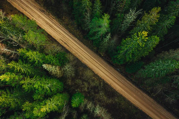 Estrada Floresta Rural Cima Cercada Com Pinheiros Verdes Vista Aérea — Fotografia de Stock