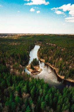 Vahşi orman nehir eğrisi üzerinde küçük adalı, çam ormanlı hava manzarası
