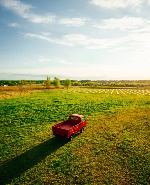 Vista Aérea Caminhão Pickup Vermelho Clássico Campo Terra Verde Fazenda — Fotografia de Stock