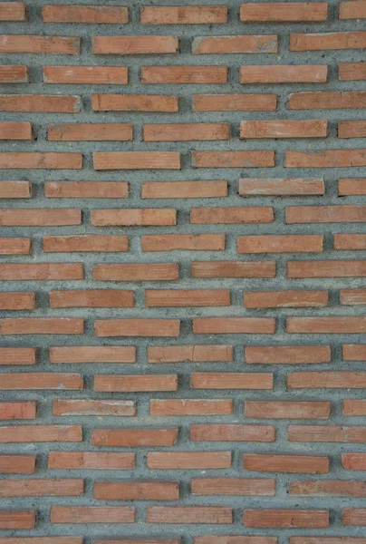 İnşaat mason işçisi mala ve çimento harcı ile