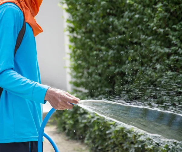 Watering tree in the garden from hose — Stock Photo, Image