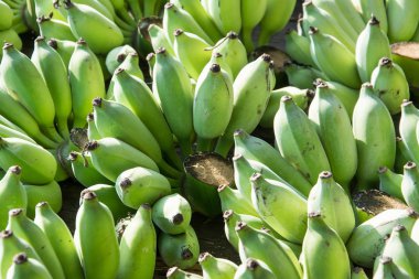 Yeşil muz arka plan, Tay meyve