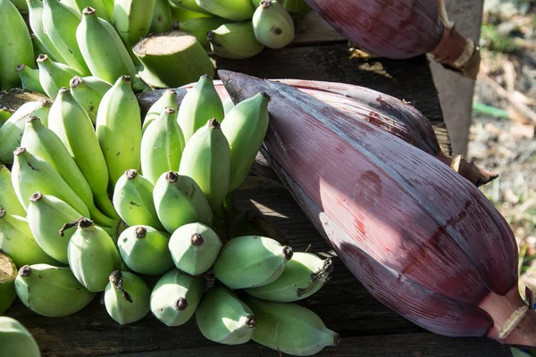 Grüne Bananen Hintergrund, thailändische Früchte — Stockfoto