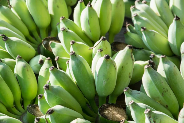 Yeşil muz arka plan, Tay meyve