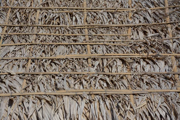 Dry palm leave roof — Stock Photo, Image