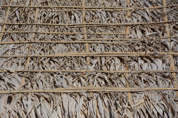 Dry palm leave roof — Stock Photo, Image