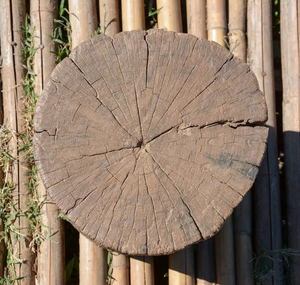Cross section log  on bamboo flooe — Stock Photo, Image