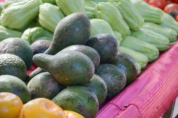 Groene avocado's in de markt — Stockfoto