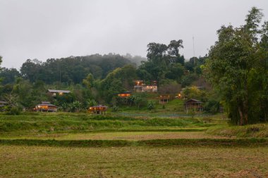 Pirinç terasları alanında Mae Klang Luang, Mae Chaem, Chiang Mai, Tayland