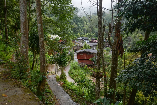 Mae Kampong Village com chuva e nevoeiro, pequena aldeia na montanha, Chiang Mai, Tailândia — Fotografia de Stock
