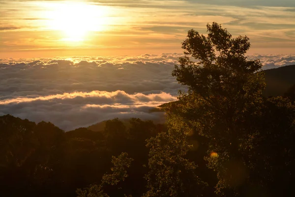 Восход солнца с туманом и облаком в Кью Мэй Пан, Национальный парк Дои Интанон, Таиланд. — стоковое фото