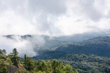 sis ve bulut dağ, Kew Mae Pan, Doi Inthanon Milli Parkı, Tayland.