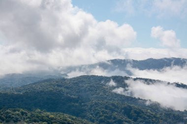sis ve bulut dağ, Kew Mae Pan, Doi Inthanon Milli Parkı, Tayland.