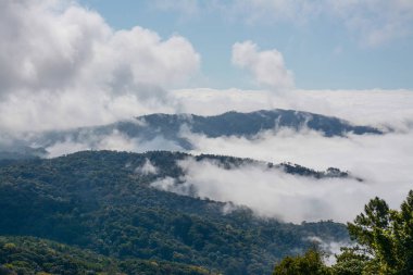 sis ve bulut dağ, Kew Mae Pan, Doi Inthanon Milli Parkı, Tayland.
